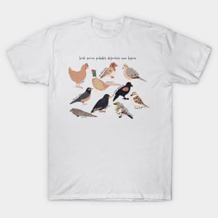 birds you've probably definitely seen before T-Shirt